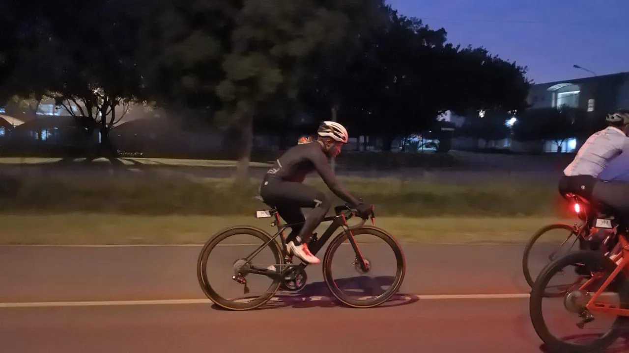 A cyclist riding at dusk on a road lined with trees